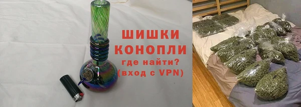 PSILOCYBIN Осинники