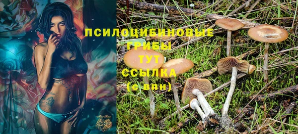 PSILOCYBIN Осинники