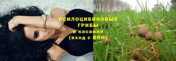 молекула духа Остров